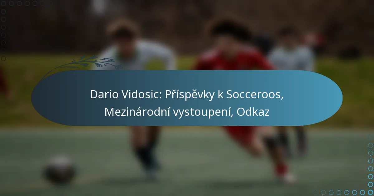 Read more about the article Dario Vidosic: Příspěvky k Socceroos, Mezinárodní vystoupení, Odkaz