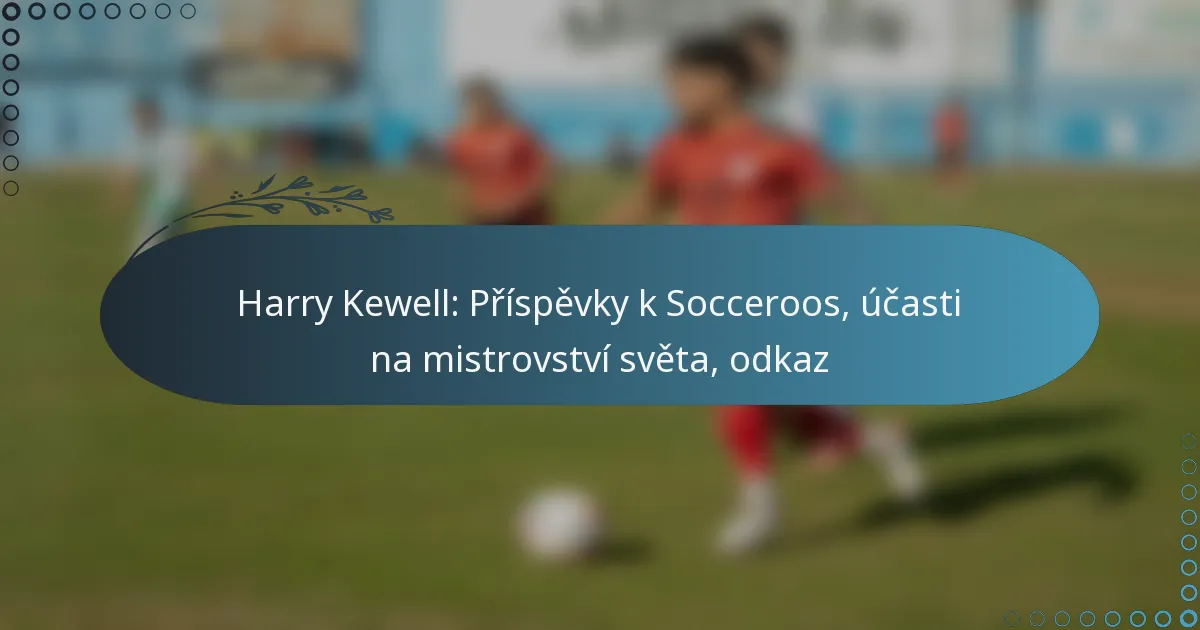 Read more about the article Harry Kewell: Příspěvky k Socceroos, účasti na mistrovství světa, odkaz