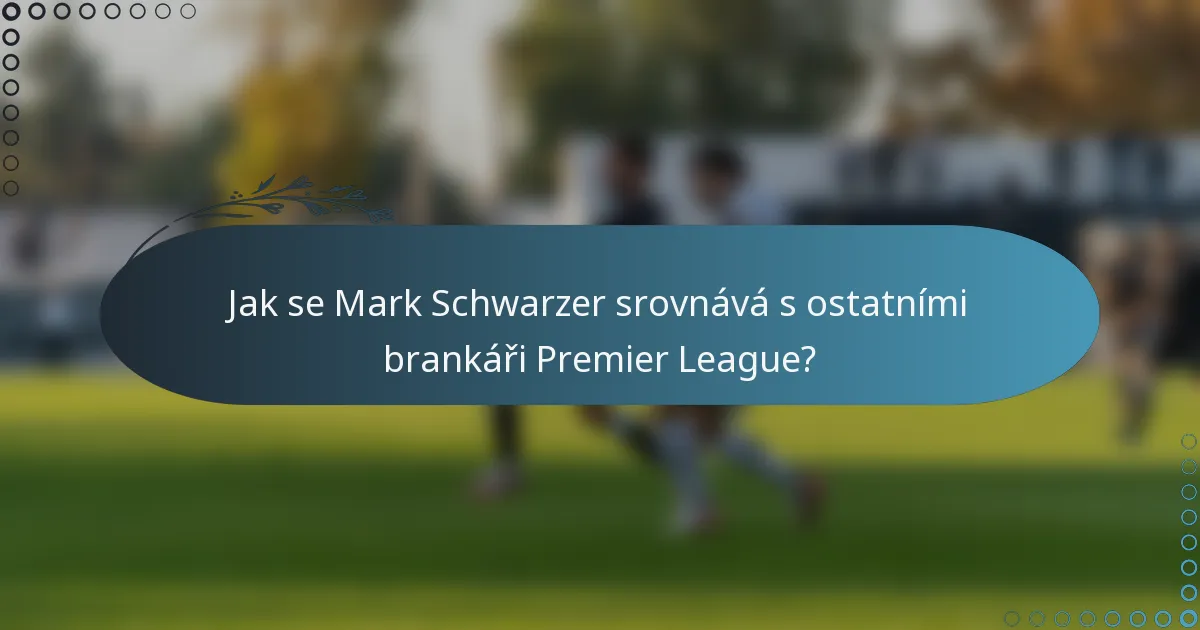 Jak se Mark Schwarzer srovnává s ostatními brankáři Premier League?