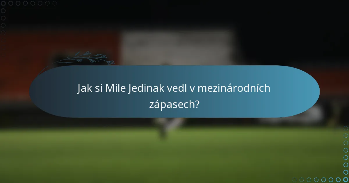 Jak si Mile Jedinak vedl v mezinárodních zápasech?