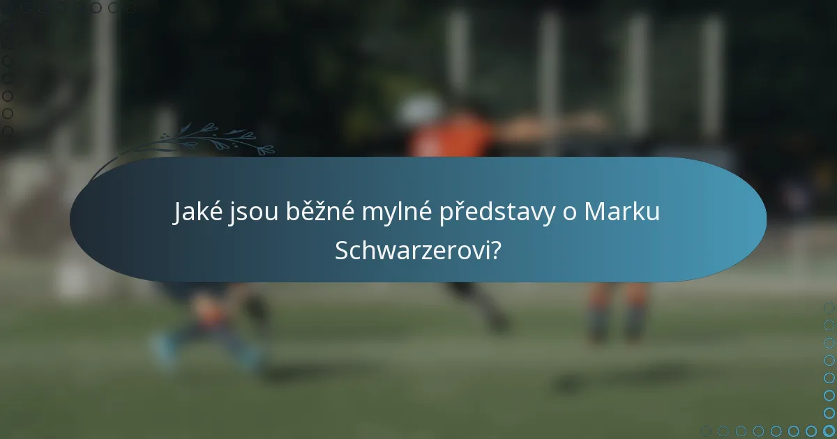 Jaké jsou běžné mylné představy o Marku Schwarzerovi?