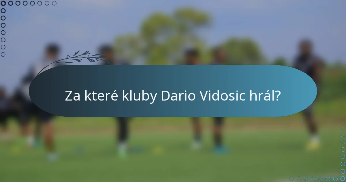 Za které kluby Dario Vidosic hrál?