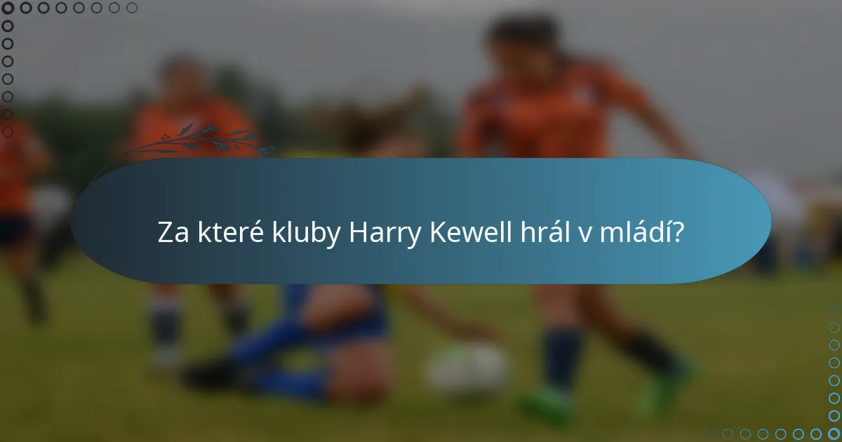 Za které kluby Harry Kewell hrál v mládí?